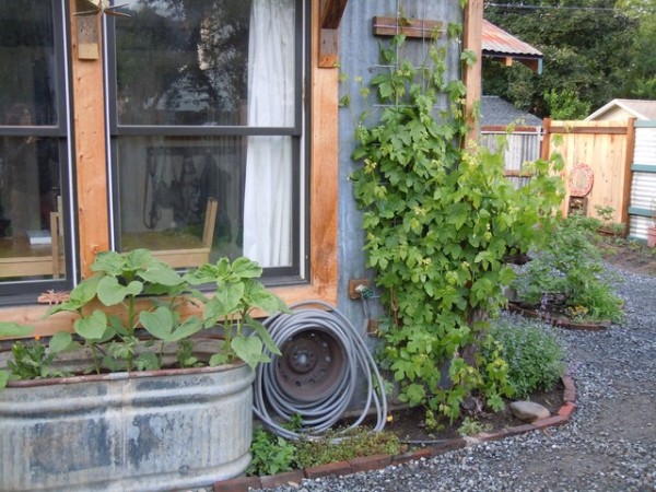 冬にしかできない作業を忘れずに行い、来春に備えよう