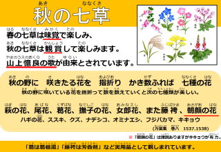 秋の七草
