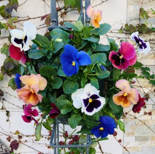 明日はいよいよ!