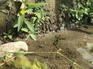 生活提案フォトコンテスト結果発表