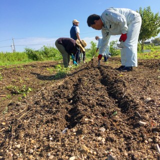 畑作り♪～Part2～