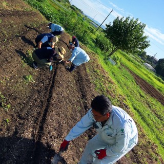畑作り♪～Part2～