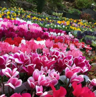 明日は秋のイベント！！