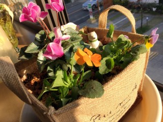 明日は秋のイベント！！