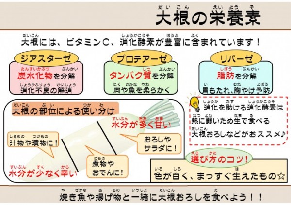 大根の栄養素