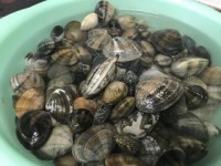 ☆ボンゴレパスタ☆