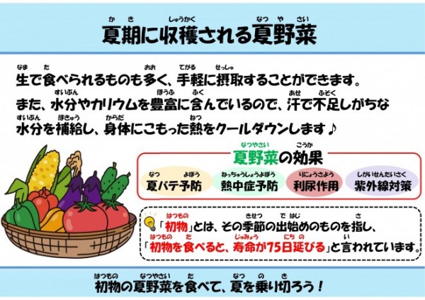 夏期に収穫される夏野菜