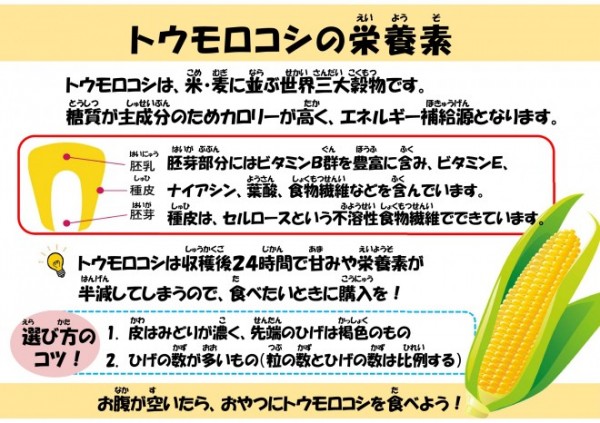 トウモロコシの栄養素♪