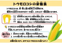 トウモロコシの栄養素♪