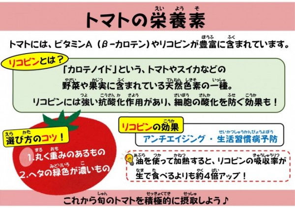 トマトの栄養素