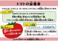 トマトの栄養素