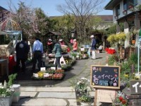 4月18日（土）・19日（日）、春のイベント開催決定！