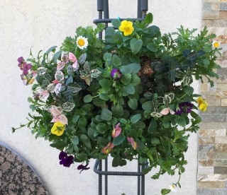 １１月１１日(土)、１２(日)　秋のイベント開催！！！