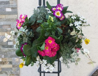 １１月１１日(土)、１２(日)　秋のイベント開催！！！