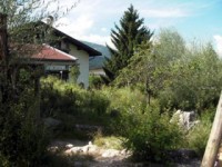 幼稚園＆ビオトープ視察 in ドイツ