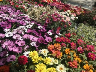 明日はいよいよ！！！！