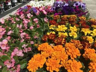 明日はいよいよ！！！！