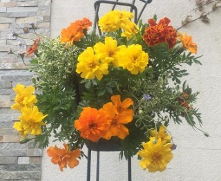 明日はいよいよ！！！！