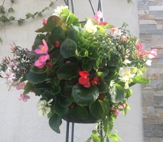 明日はいよいよ！！！！