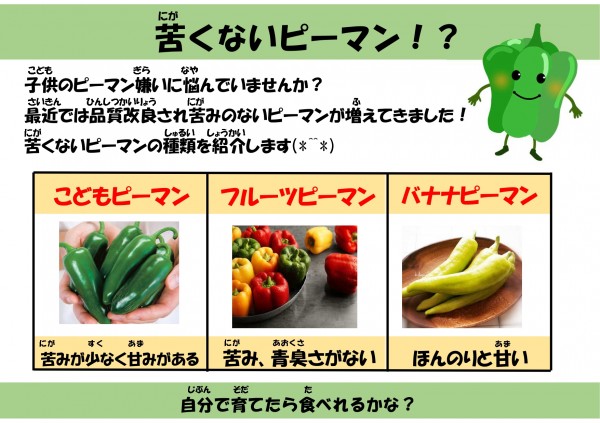 苦くないピーマン！？