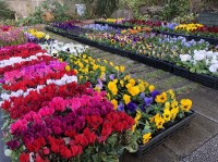 明日は秋のイベント！