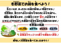 冬野菜でお鍋を食べよう！