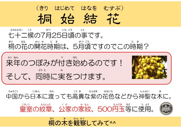 桐始結花（きりはじめてはなをむすぶ）