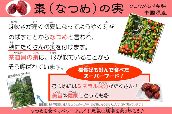 棗（なつめ）の実