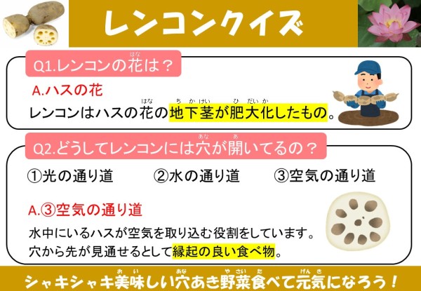 レンコンクイズ