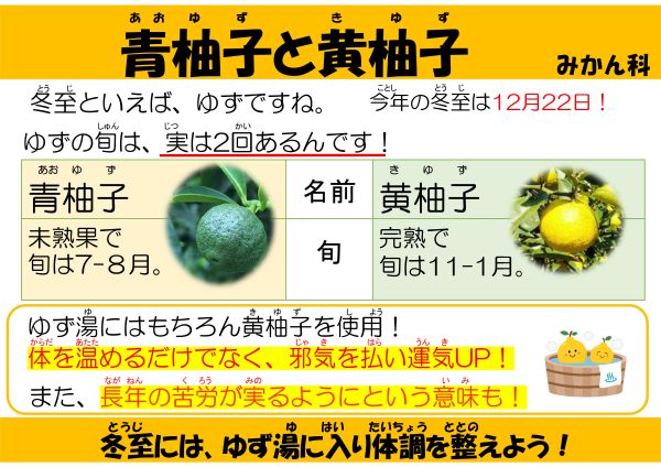 青柚子と黄柚子