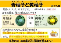 青柚子と黄柚子