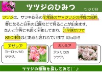 ツツジのひみつ