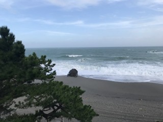 2018社員研修旅行in四国 2日目