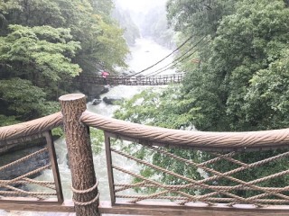 2018社員研修旅行in四国 3日目