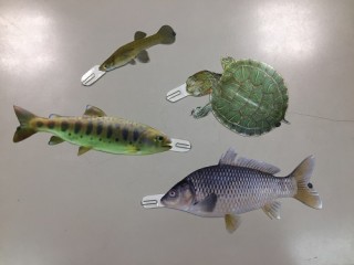 45周年感謝祭!11月10日(土)、11日(日)秋のイベント開催!!!