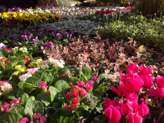 明日はいよいよ！！！