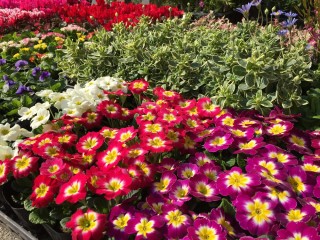 明日はいよいよ！！！