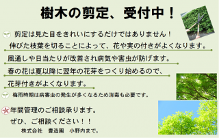 たくさんのご来場ありがとうございました。