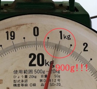 大きなたまねぎ！！！！